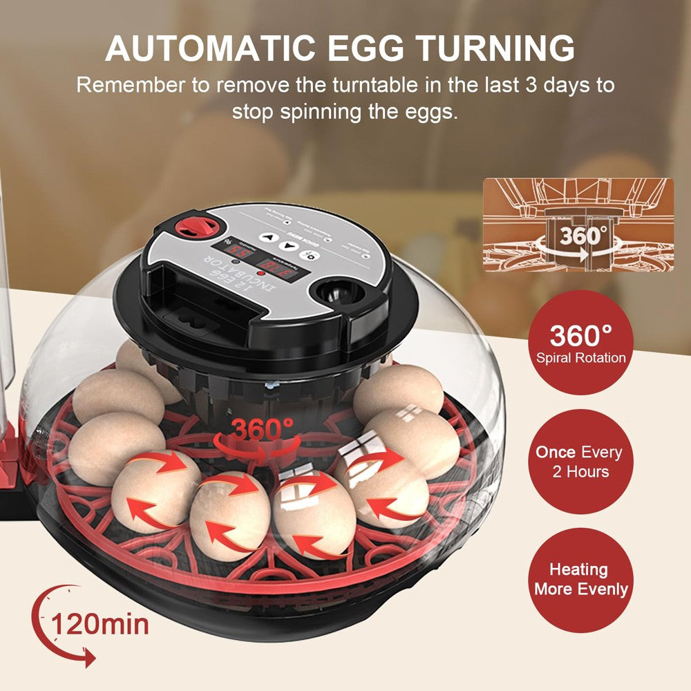 12 Eggs Incubator Automatic Turning Quail Chick Chicken Hatcher for Hatching Egg