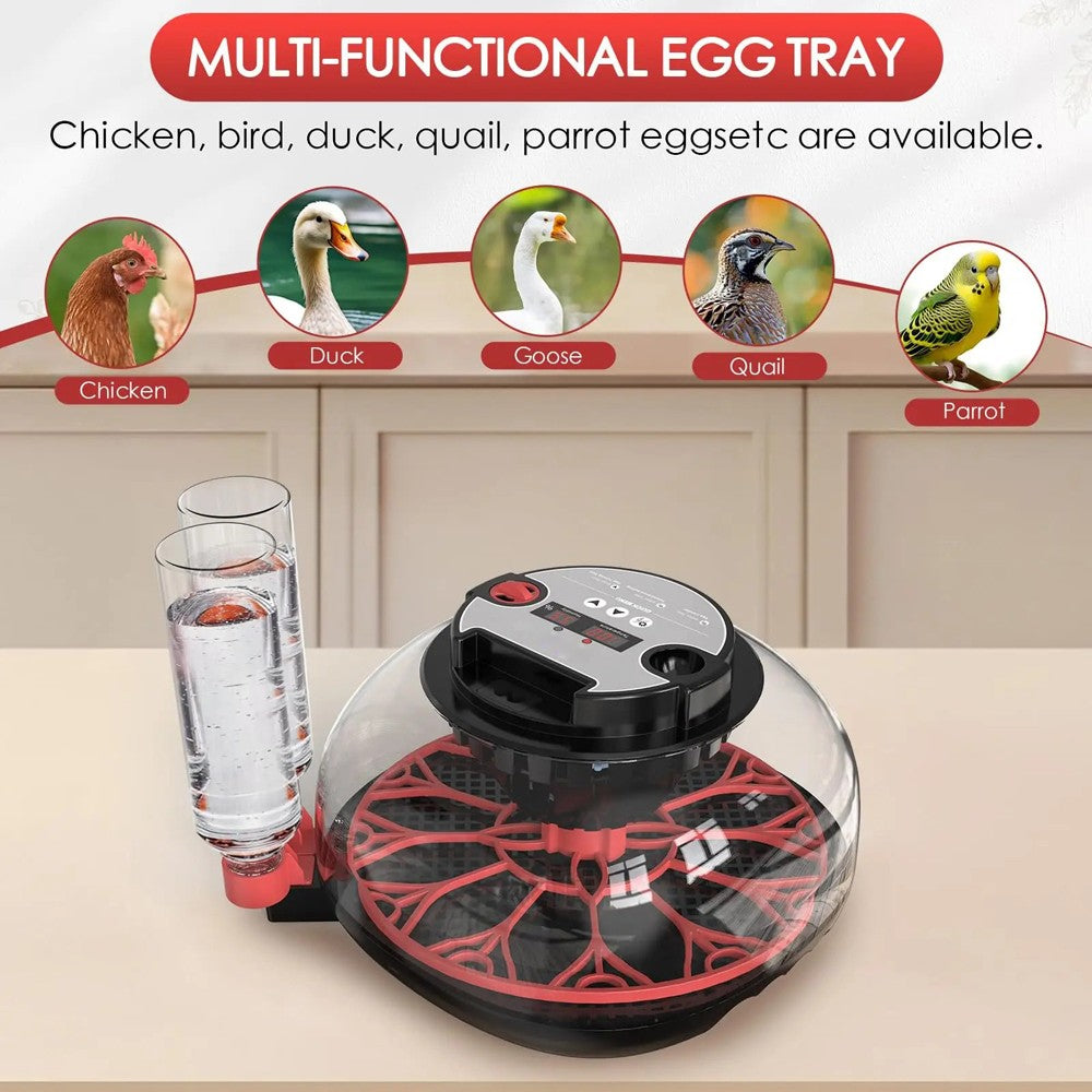 12 Eggs Incubator Automatic Turning Quail Chick Chicken Hatcher for Hatching Egg