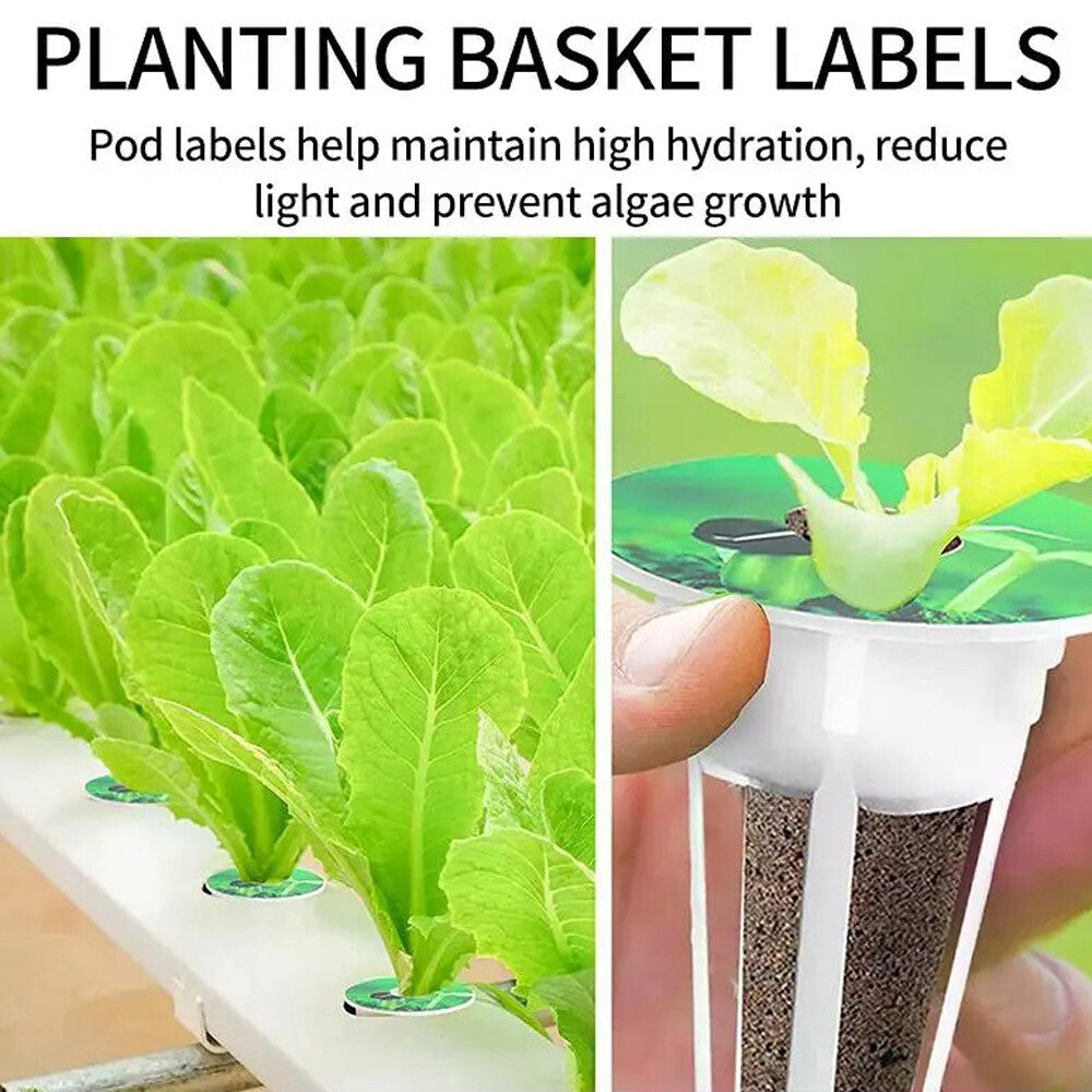 121PCS Hydroponic Garden Seed Pods Grow Anything Kit Accessories Sponge Dome US