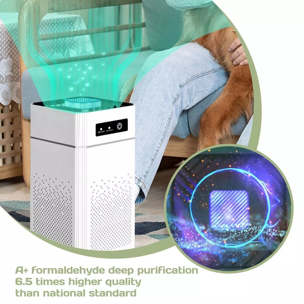 Home HEPA Air Purifier Large Room Air Cleaner for Allergies Smoke Mold Odor Dust
