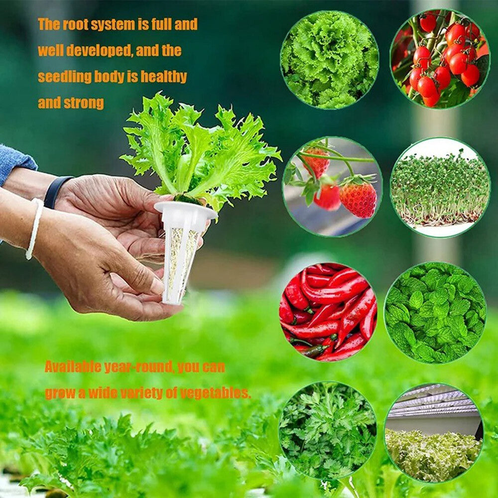 121PCS Hydroponic Garden Seed Pods Grow Anything Kit Accessories Sponge Dome US