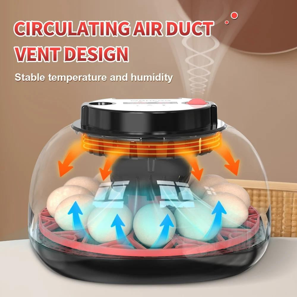 12 Eggs Incubator Automatic Turning Quail Chick Chicken Hatcher for Hatching Egg