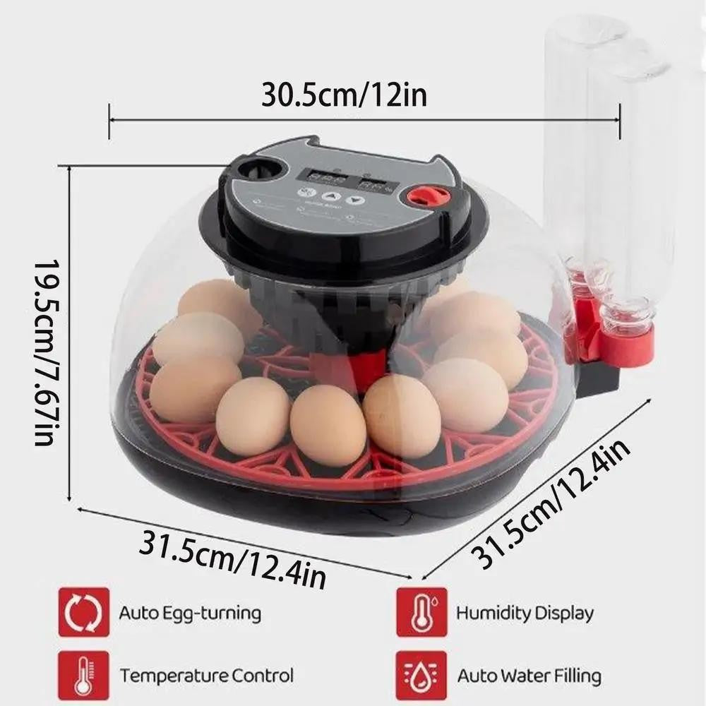 12 Eggs Incubator Automatic Turning Quail Chick Chicken Hatcher for Hatching Egg