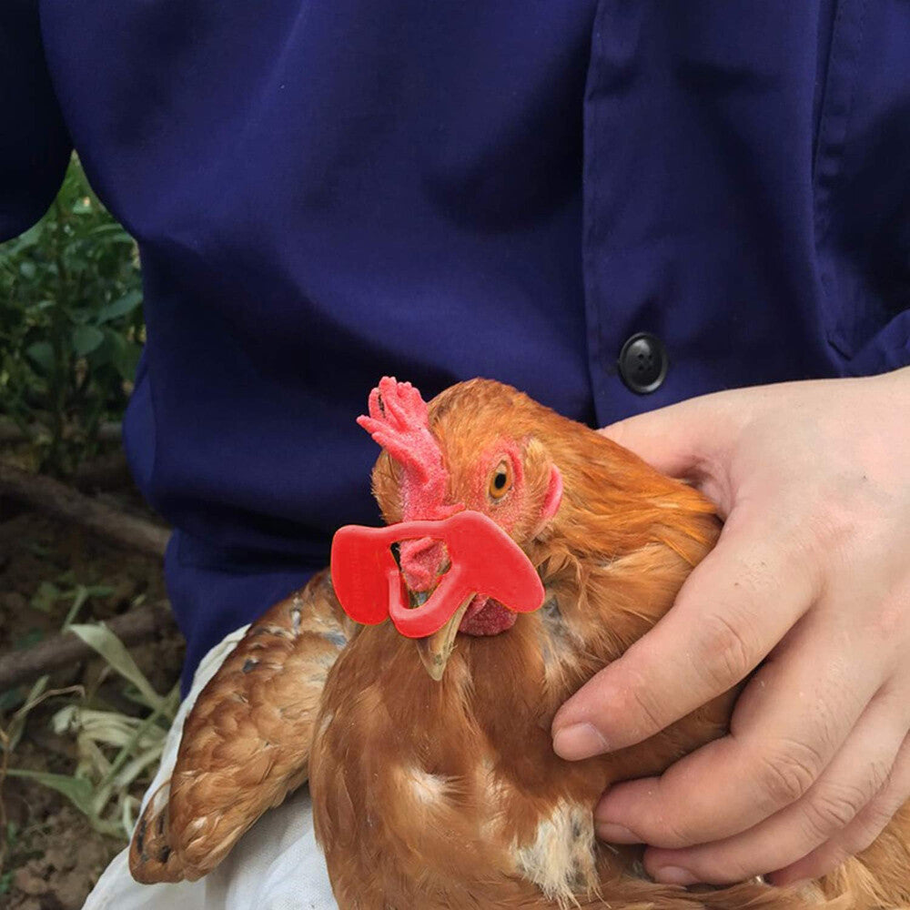 100PCS No Fighting Pinless Chicken Peepers Pheasant Poultry Blinders Spectacles