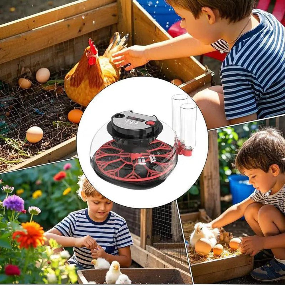 12 Eggs Incubator Automatic Turning Quail Chick Chicken Hatcher for Hatching Egg