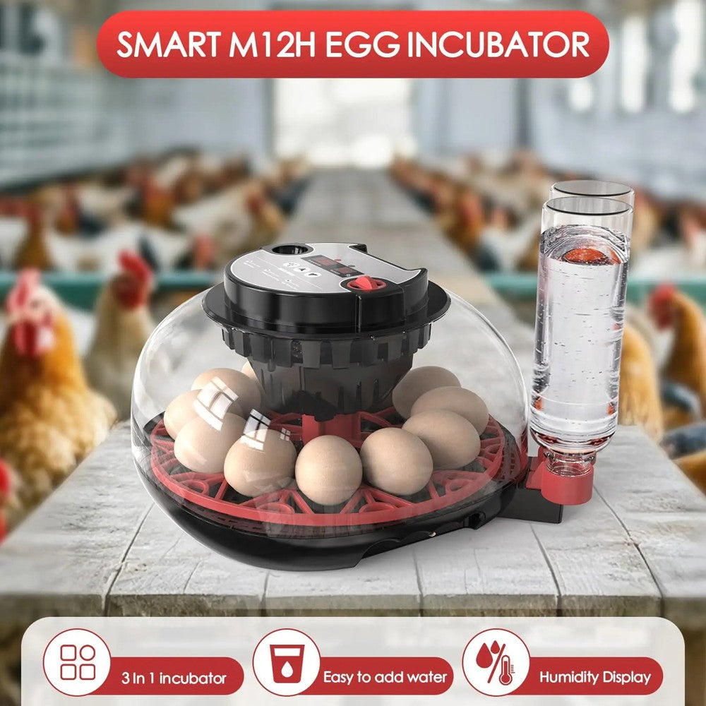 12 Eggs Incubator Automatic Turning Quail Chick Chicken Hatcher for Hatching Egg