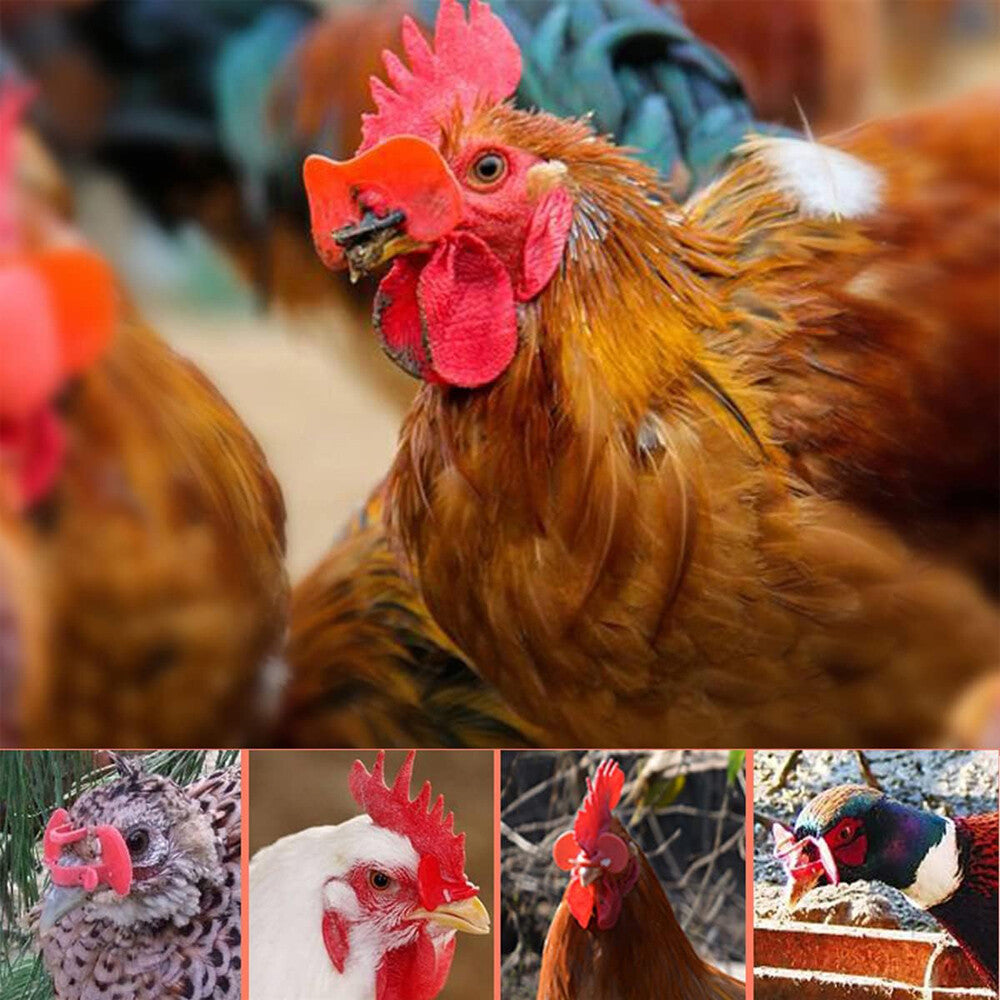 100PCS No Fighting Pinless Chicken Peepers Pheasant Poultry Blinders Spectacles