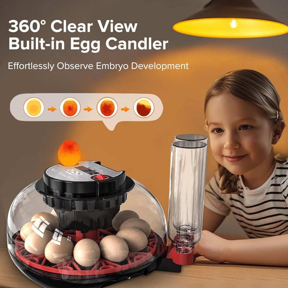 12 Eggs Incubator Automatic Turning Quail Chick Chicken Hatcher for Hatching Egg